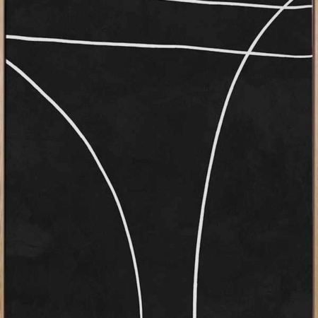 Apex Canvas Art Print