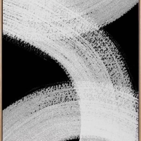 Provocation I Canvas Art Print