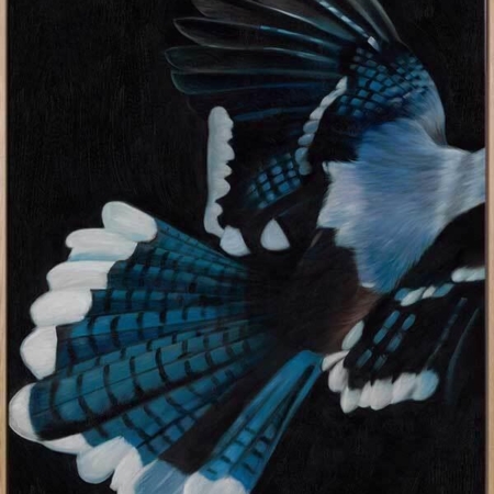 Perch Canvas Art Print