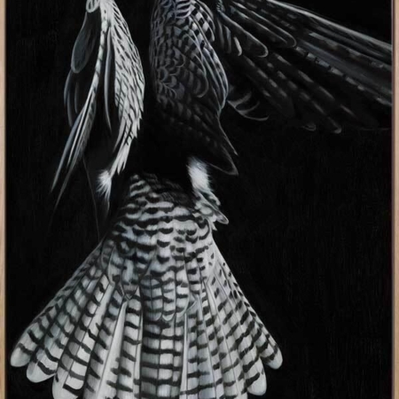 Fully Fledged Canvas Art Print