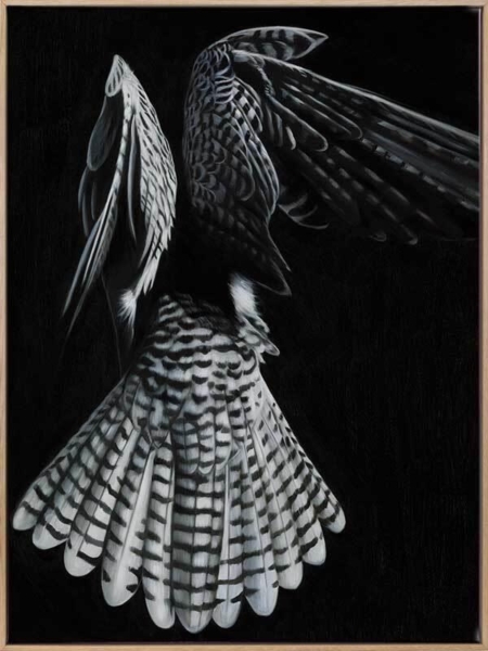 Fully Fledged Canvas Art Print