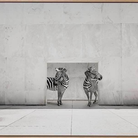 Stripes Canvas Art Print