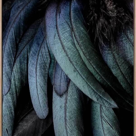 Fowl Play Canvas Art Print