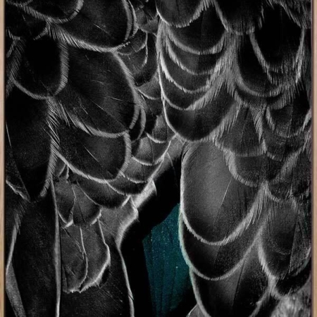 In the Wings Canvas Art Print