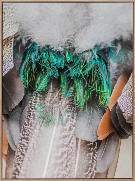 Pompon Canvas Art Print