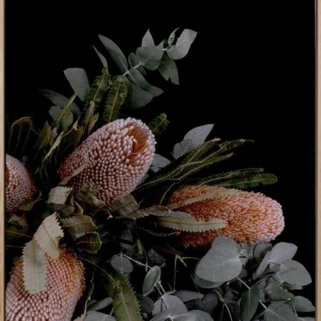 Botany Canvas Art Print