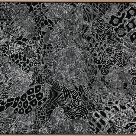 Mina Mina Jukurrpa I Canvas Art Print