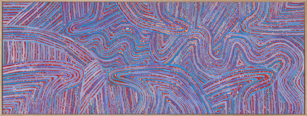 Mina Mina Jukurrpa V Canvas Art Print