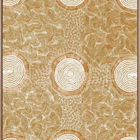 Pikilyi Jukurrpa Mustard Canvas Art Print