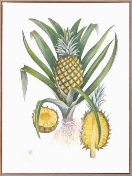 Pineapples Canvas Art Print