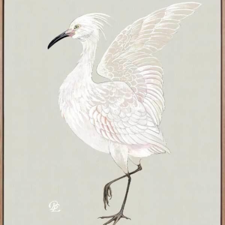 Water Bird Canvas Art Print