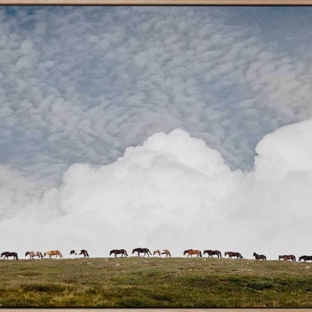 Line Dance Canvas Art Print