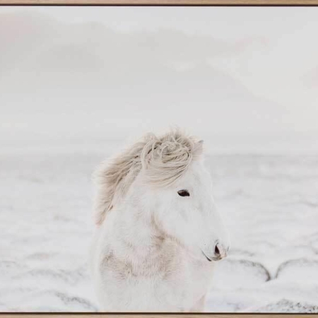 Snow Storm Canvas Art Print