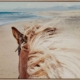 Beach Horse Canvas Art Print