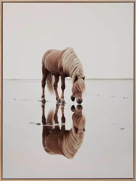 Mirror Canvas Art Print