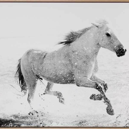 Running Canvas Art Print