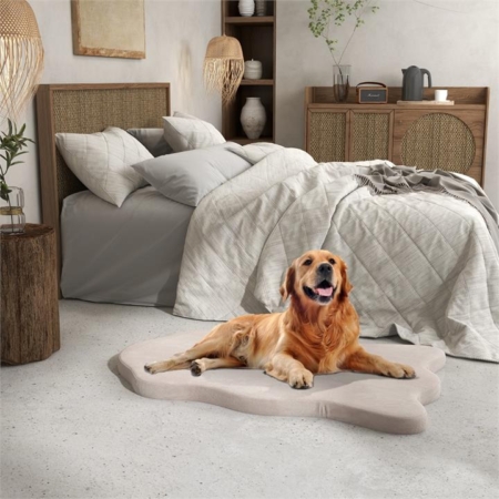 dog bed