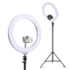 Embellir Ring Light 19'' LED 6500K 5800LM Dimmable Diva With Stand Silver