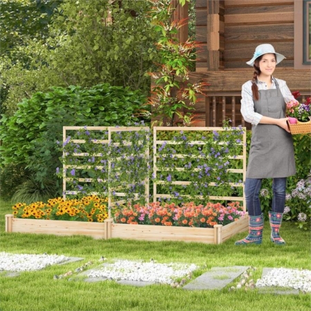 Raised garden bed with trellises and planter boxes