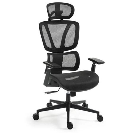 FORTIA Ergonomic Office Desk Chair