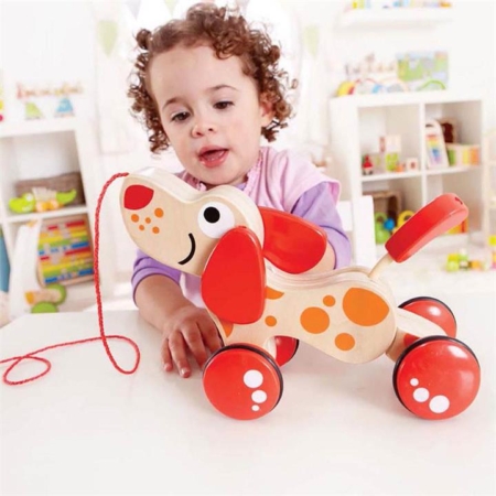 Hape Walk A Long Puppy