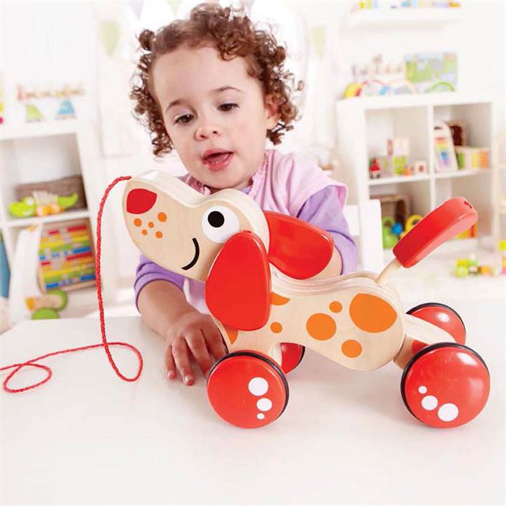 Hape Walk A Long Puppy