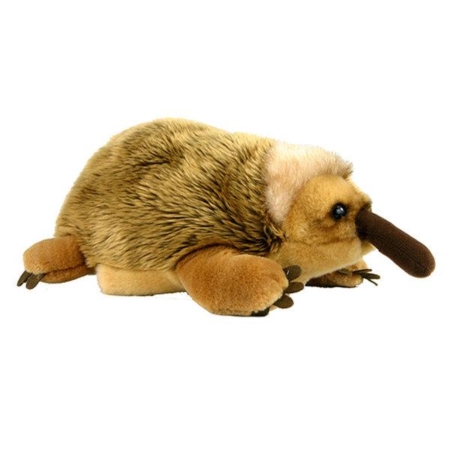 Echidna Hand Puppet