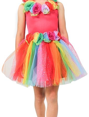 Enchanting Rainbow Fairy Dress