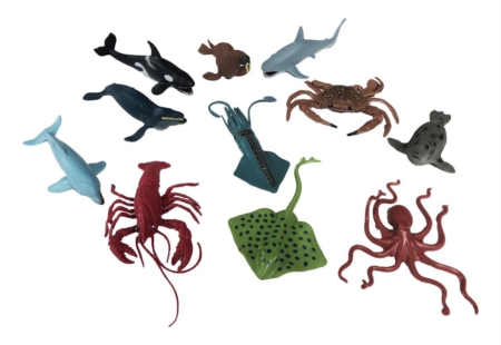 Aquatic Animal Collection