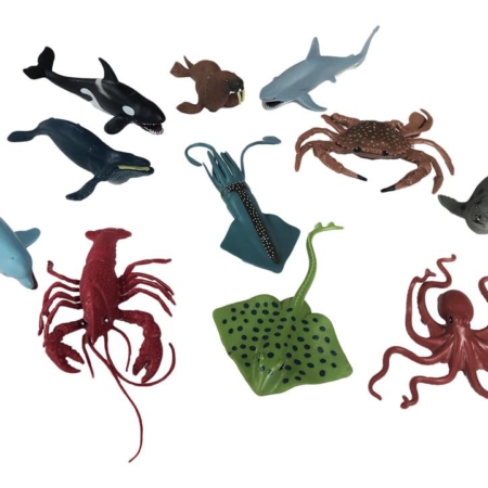 Aquatic Animal Collection