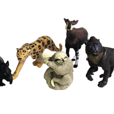 Rainforest Animal Collection