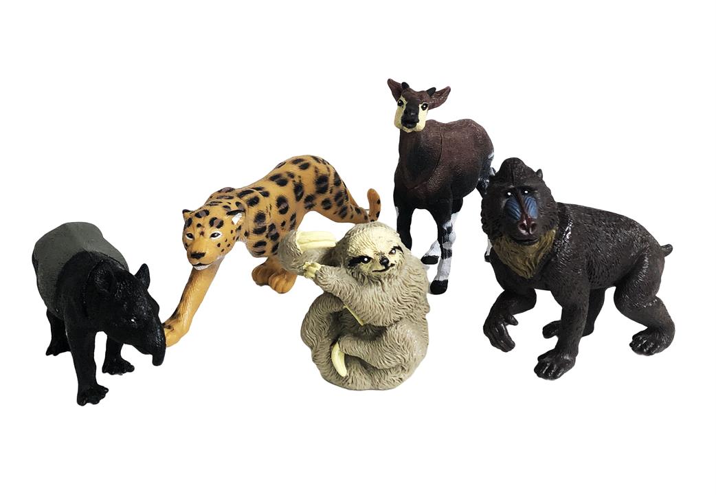 Rainforest Animal Collection