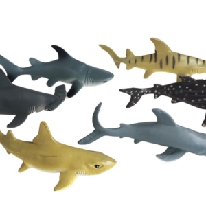 Shark Animal Collection