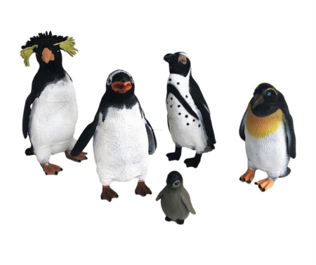 Penguin Animal Collection