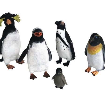 Penguin Animal Collection