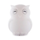 Duski Rechargeable Bluetooth Night Light - Owl