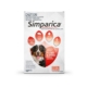 Simparica Chewables 120mg For Xlarge Dogs 40.1-60kg (Red) 3 Doses