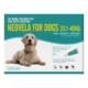 Neovela (Selamectin) Flea And Worming For Dogs 20 - 40 Kg Aqua 4 Pack