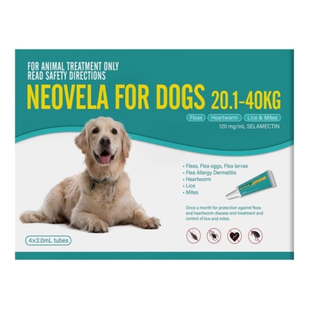 Neovela (Selamectin) Flea And Worming For Dogs 20 - 40 Kg Aqua 8 Pack