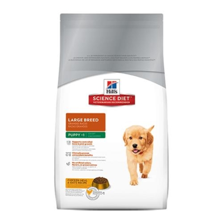 Hill's Science Diet Puppy Large Breed Chicken & Oats Dry Dog Food  12 Kg