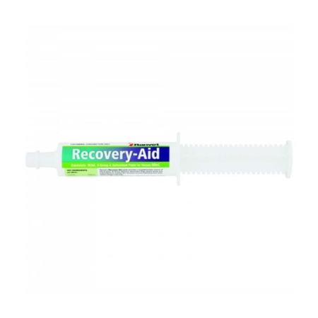 Ranvet Recovery-Aid Paste  80 Ml