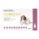 Revolution (Selamectin) For Puppies (Pink) 3 Pack