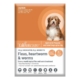 Talentcare Spot On Dog Flea & Worm Treatment For Puppies And Small Dogs Up To 4kg 3 Pack