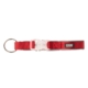 Dgs Comet Led Safety Collar (Red) Small - 1.5cm X 34 - 41cm 1 Pack