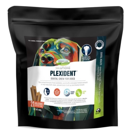 Plexident Dental Chews For Dogs  21 Pack