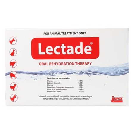 Lectade Oral Rehydration Therapy 64 Gms 12 Packs