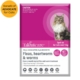 Talentcare Spot On Cat Flea & Worm Treatment For Cats Over 4kg 6 Pack