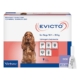 Evicto Spot-On (Selamectin) For Medium Dogs 10-20kg (Blue) 4 Pack