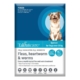 Talentcare Spot On Dog Flea & Worm Treatment For Dogs Over 25kg 3 Pack