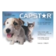 Capstar For Cats And Small Dogs 0.5 To 11kg (Blue) 6 Tablet